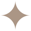 Decorative sparkle icon